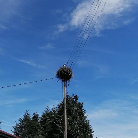 Schwarzwald Appartement Steinen  Zewnętrze zdjęcie