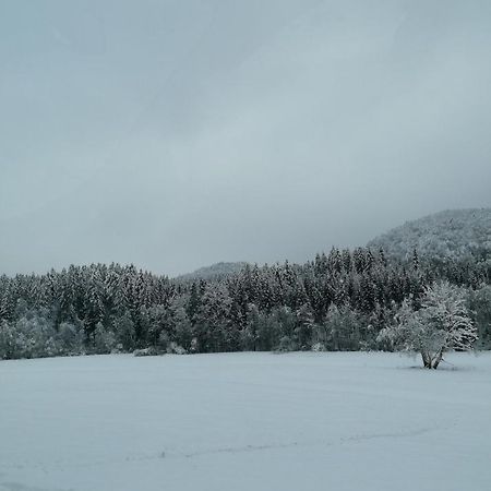 Schwarzwald Appartement Steinen  Zewnętrze zdjęcie