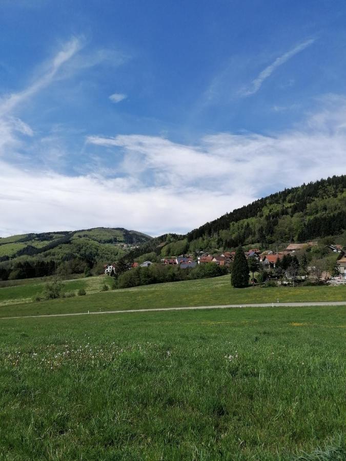 Schwarzwald Appartement Steinen  Zewnętrze zdjęcie