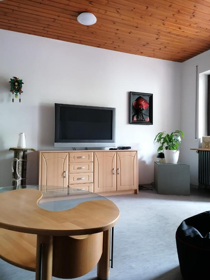 Schwarzwald Appartement Steinen  Zewnętrze zdjęcie